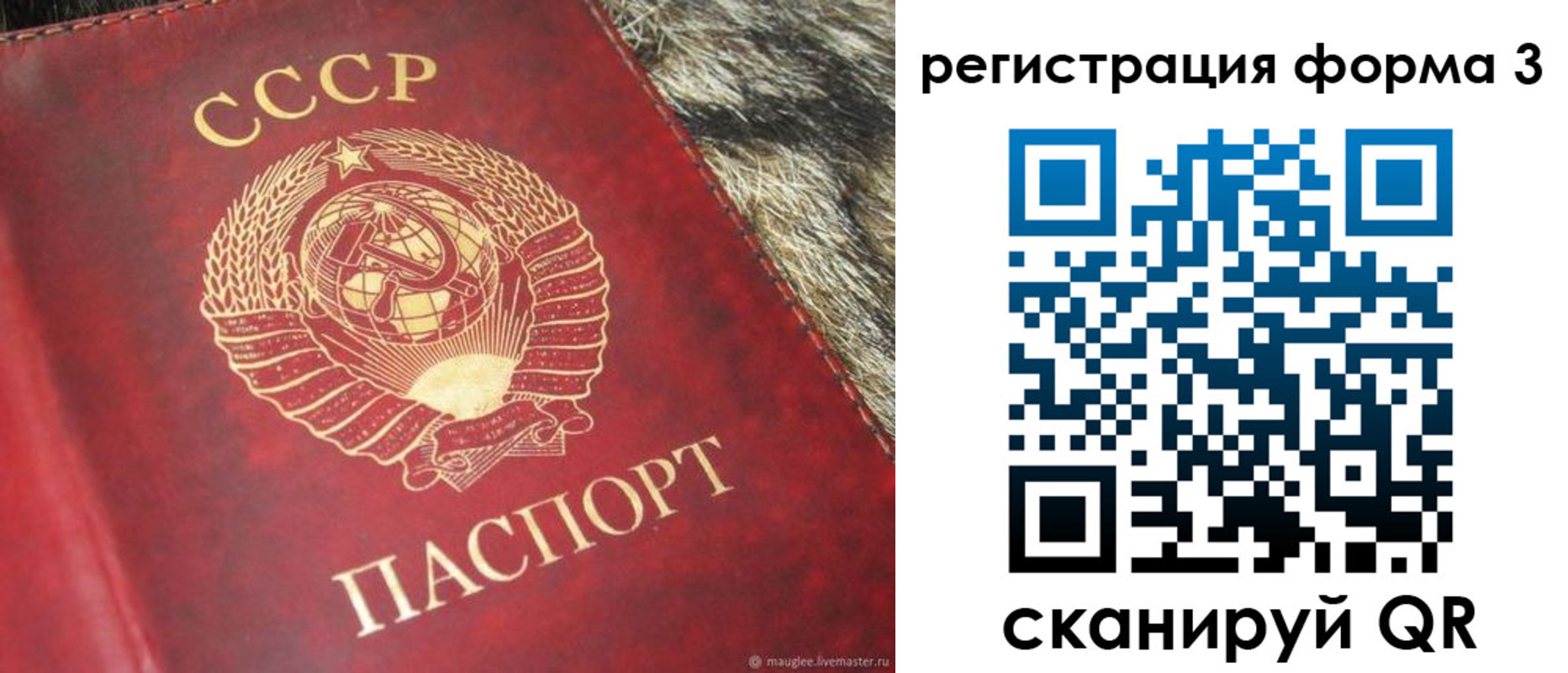 прописка регистрация в Чапаевске
